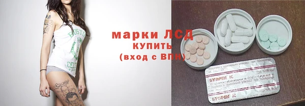 сатива Алзамай