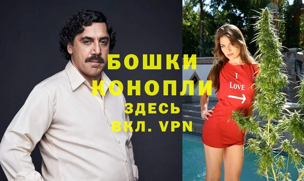 мескалин Алексин